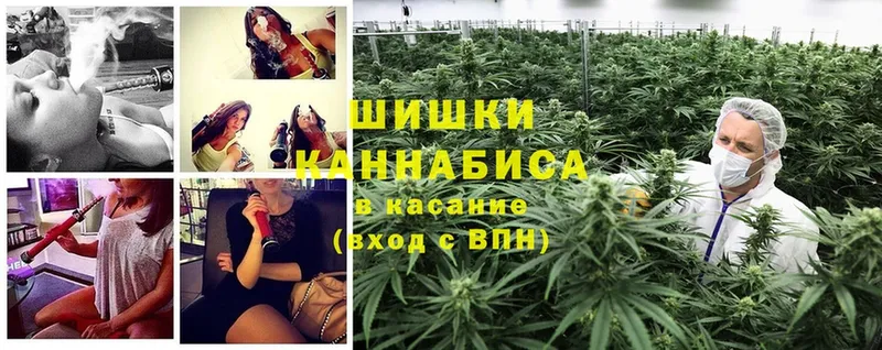 Бошки марихуана Bruce Banner  omg tor  Бодайбо 